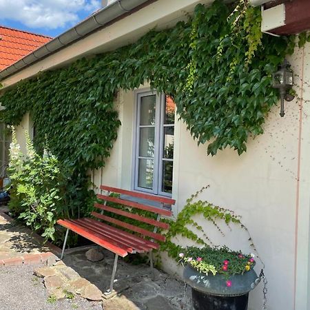 Fewo Im Kneipenviertel Altkoetzschenbroda Radebeul Exteriér fotografie